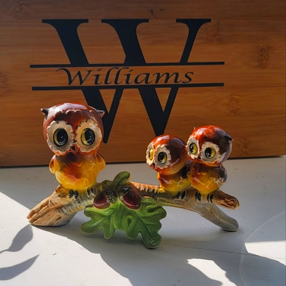 Meet your Posher, Cindy - Picture 1 of 1